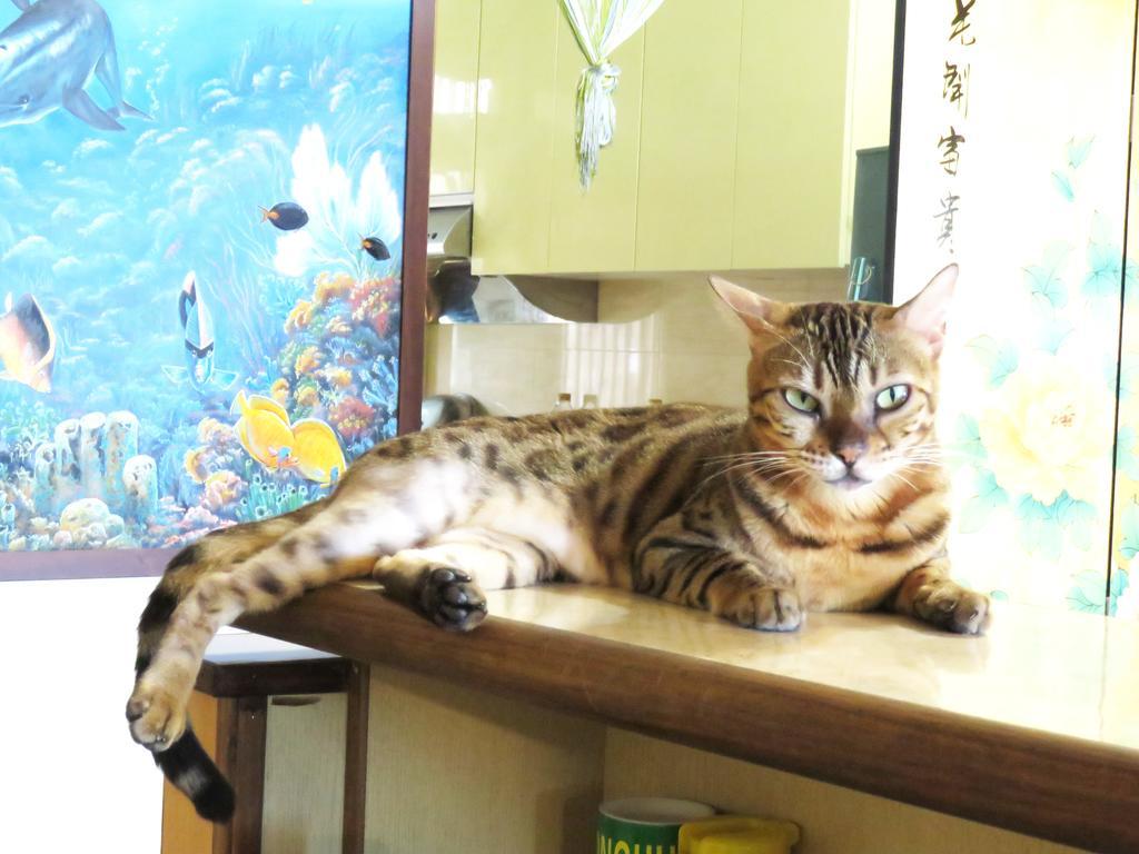Tou Cheng Whale Watching Homestay Тоученг Екстериор снимка